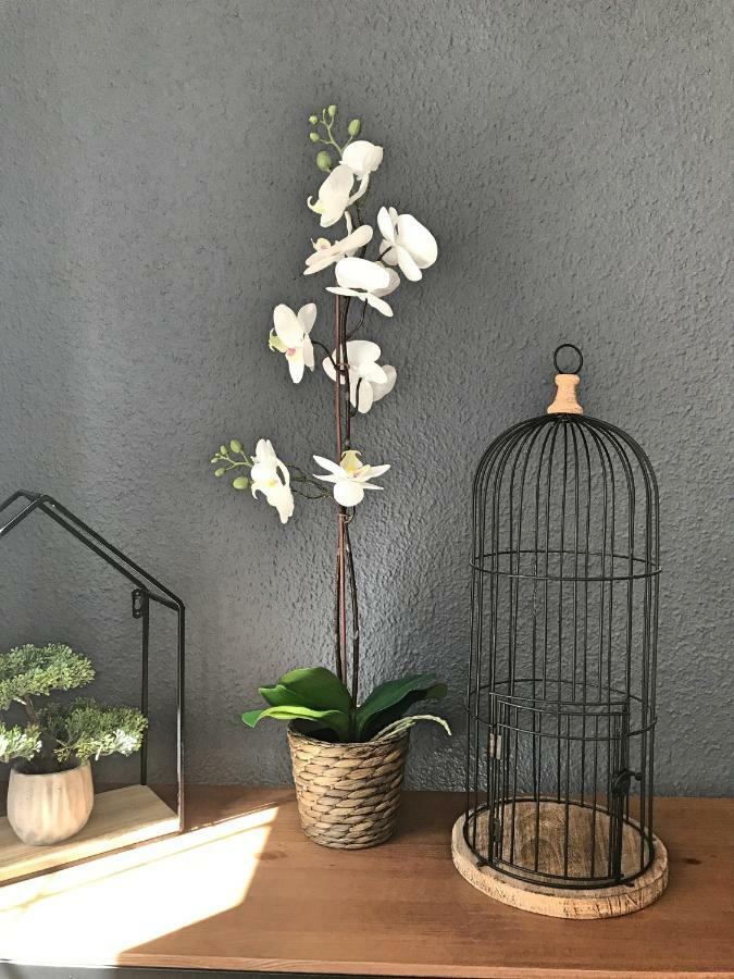 Bruno'S Home Malaga Zewnętrze zdjęcie